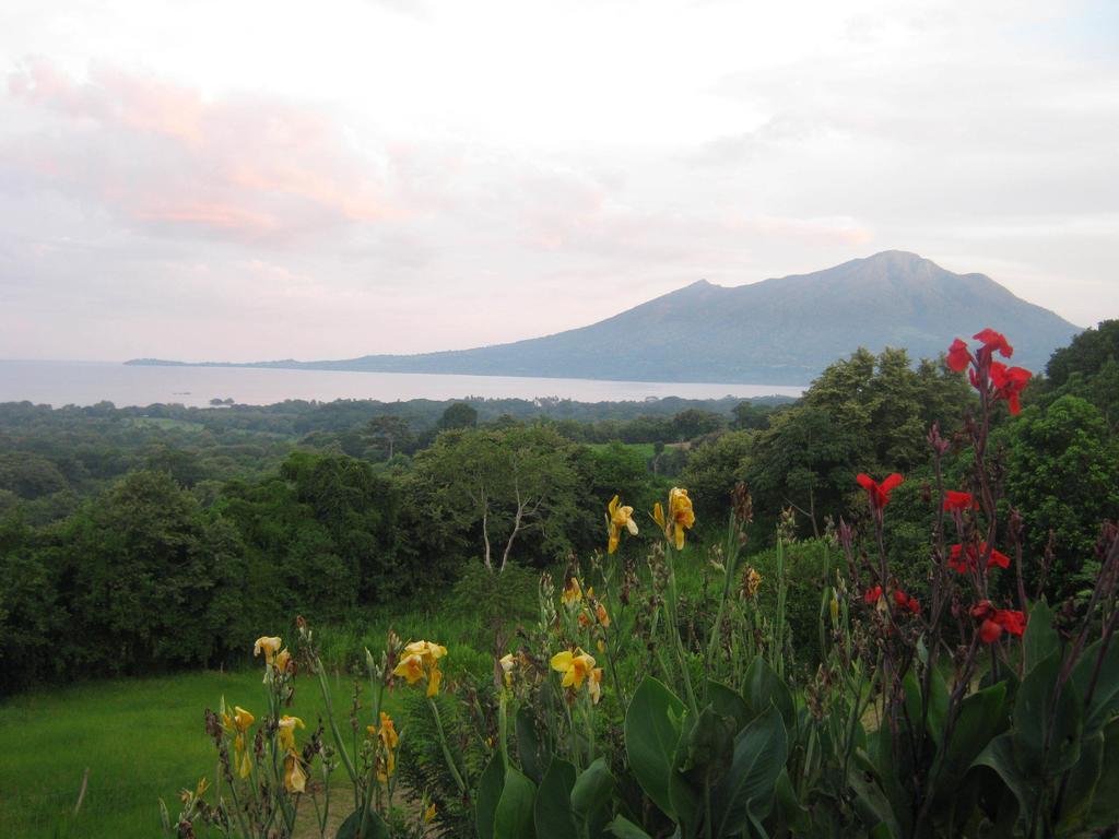 El Mirador Ecologico, Ometepe Hotel Altagracia Ngoại thất bức ảnh